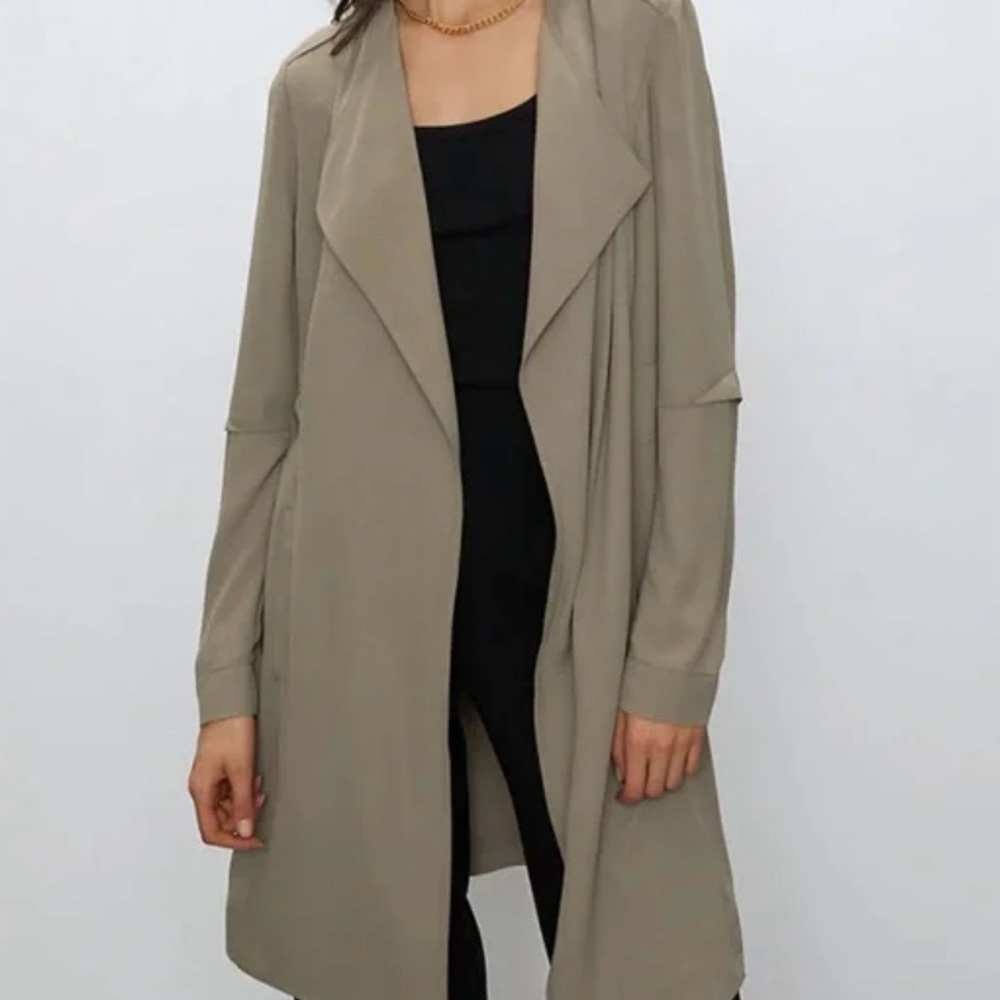 Aritzia Babaton Flows trench